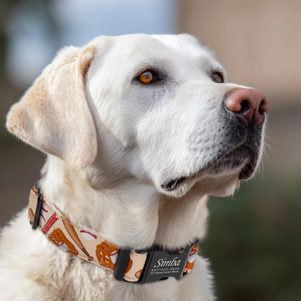 Dog wears 100% Cotton Personalized Dog Collar Engraved Black Baseball 