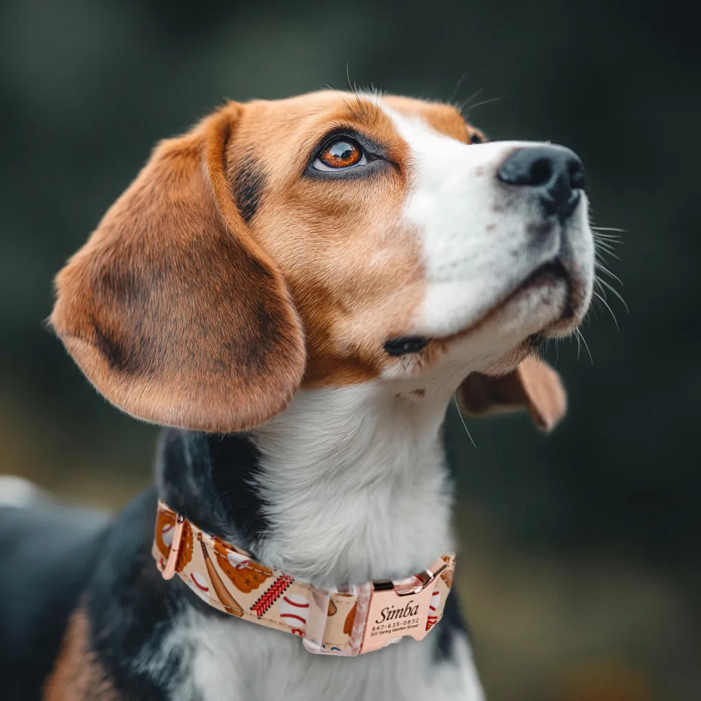 Dog wears 100% Cotton Personalized Dog Collar Engraved Rose Gold Baseball