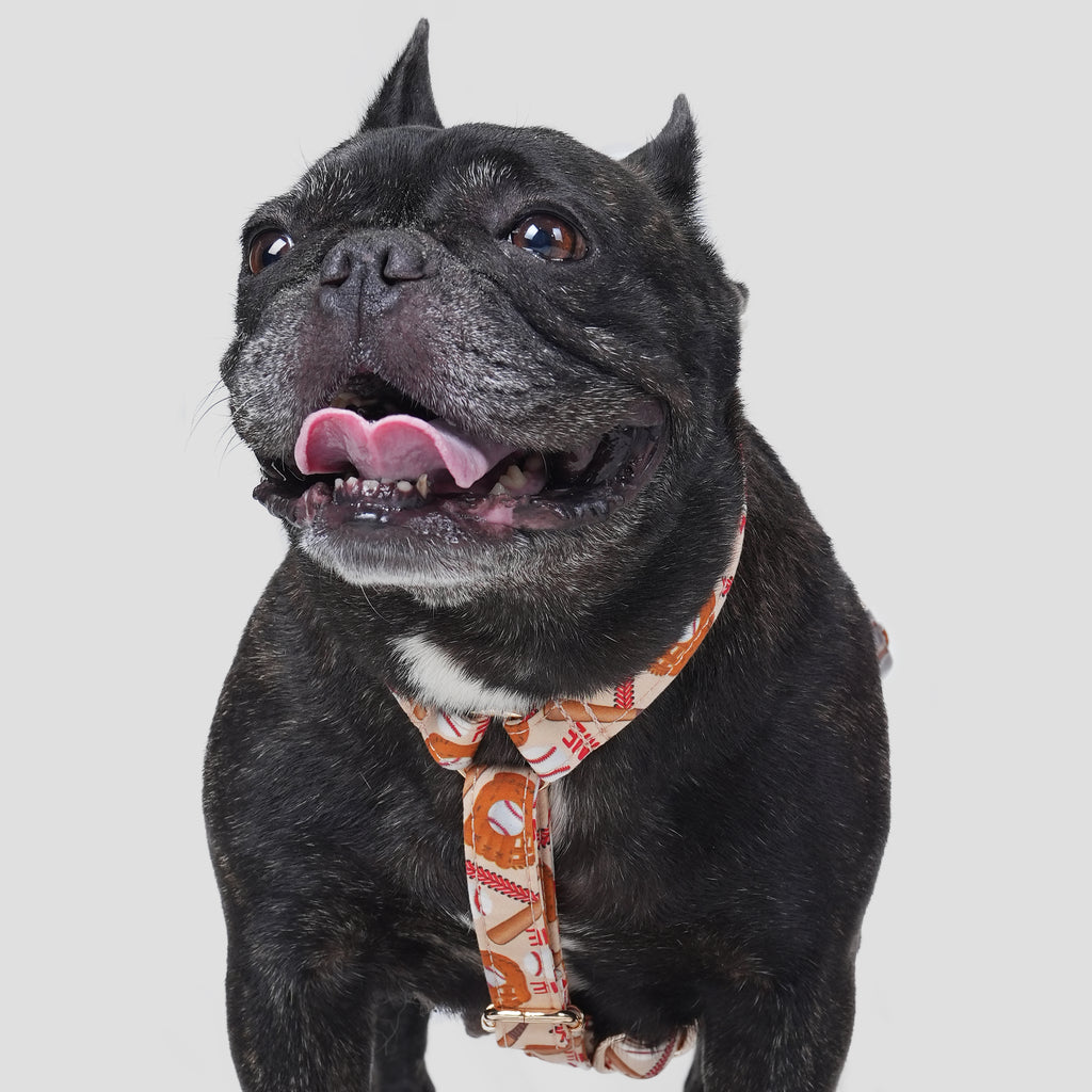 100% Cotton Adjustable No Pull Dog Harness Baseball dog wears the harness front