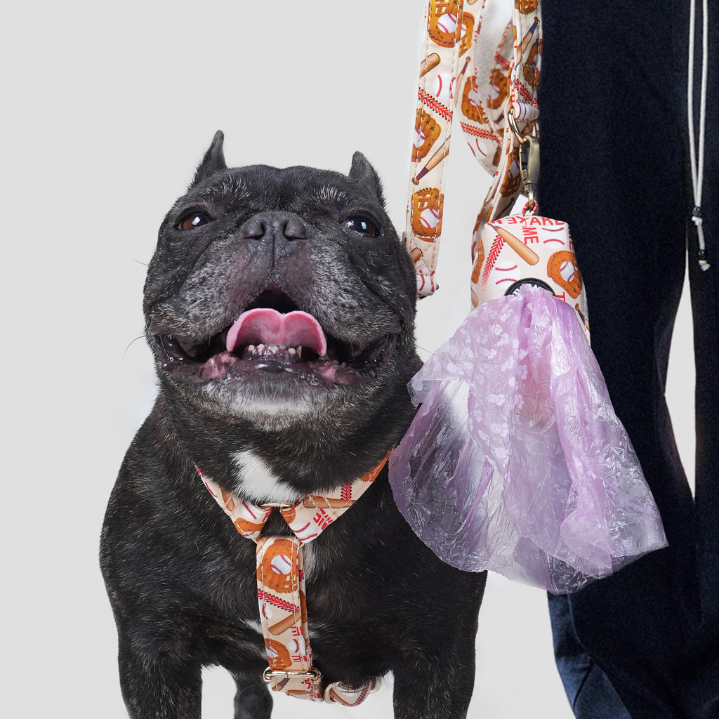 Black dog wearing a baseball patterned harness with a person holding a poop bag in the background