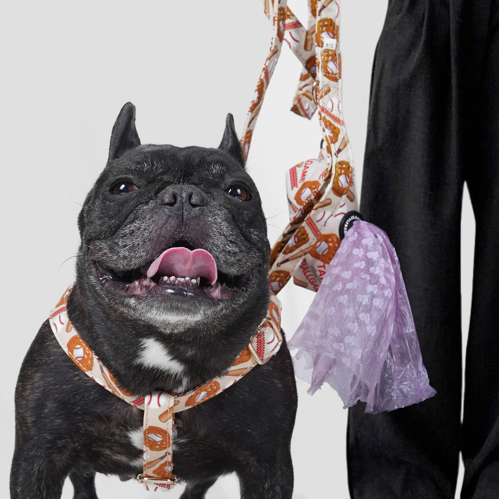 A dog with a baseball patterned harness with a leash and a poop bag standing next to a person