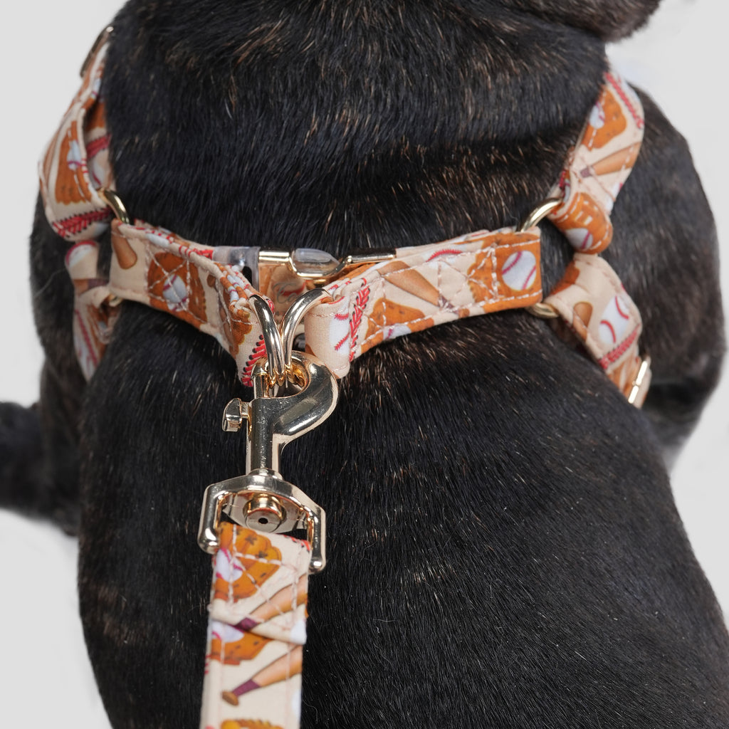 100% Cotton Adjustable Step-In Dog Harness Gold Baseball dog wearing the harness back