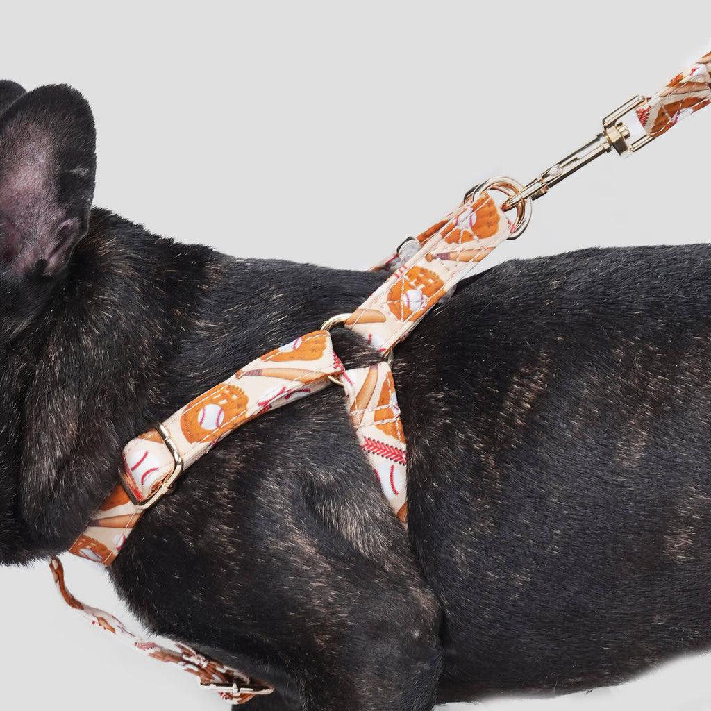 100% Cotton Adjustable Step-In Dog Harness Gold Baseball dog wearing the harness side