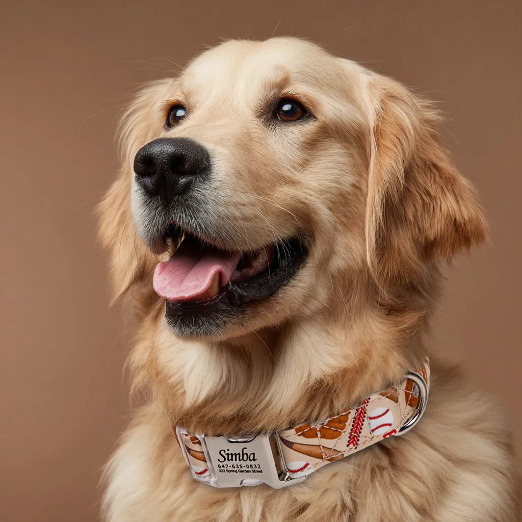 Dog wears 100% Cotton Personalized Dog Collar Engraved Silver Baseball