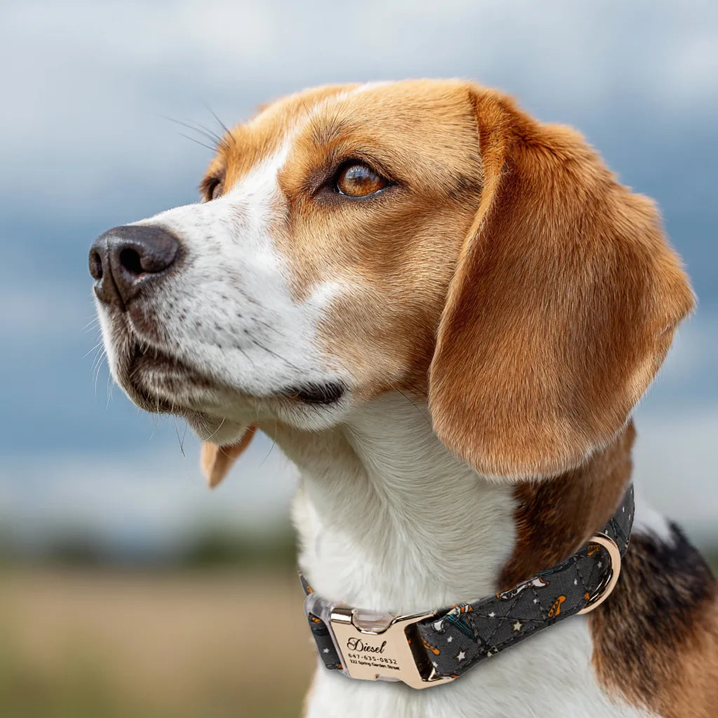 Dog wears 100% Cotton Personalized Dog Collar Engraved Gold Guitar