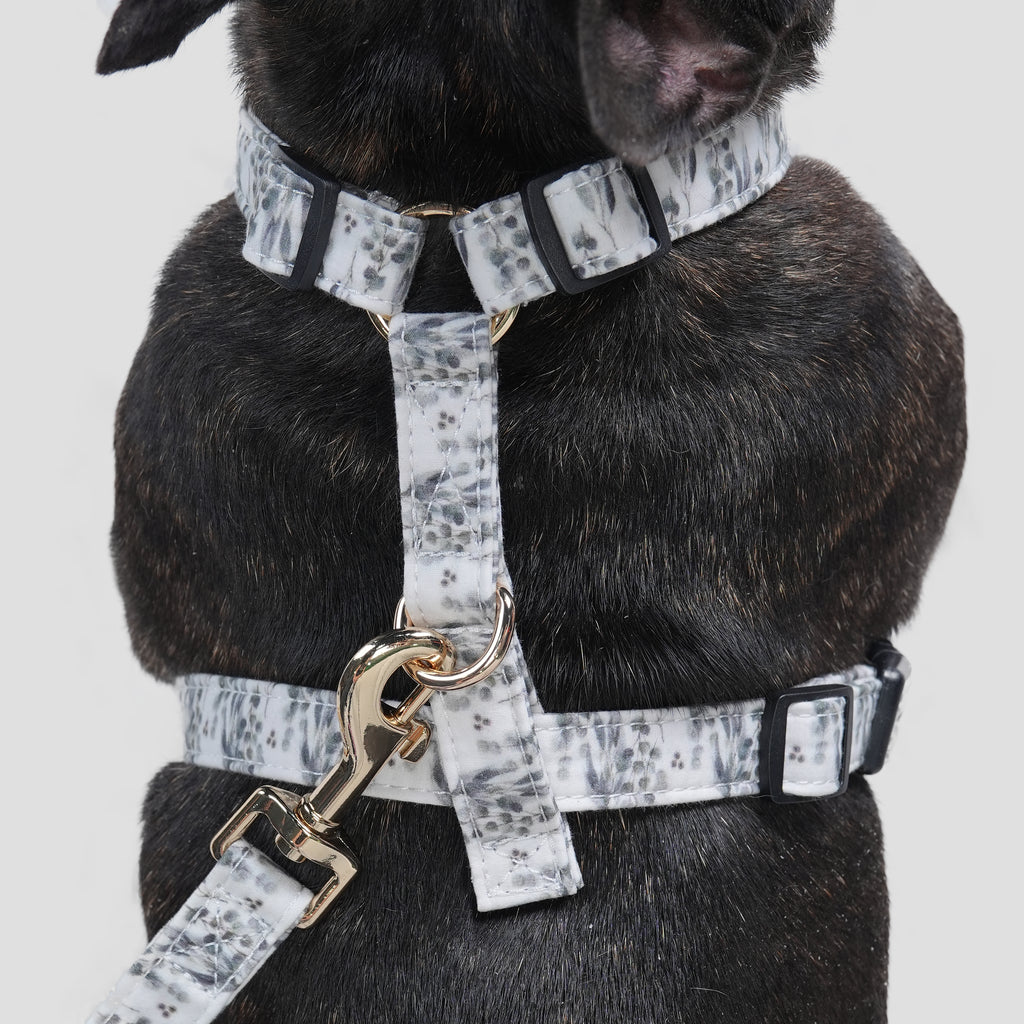 100% Cotton Adjustable No Pull Dog Harness Eucalyptus dog wears the harness back