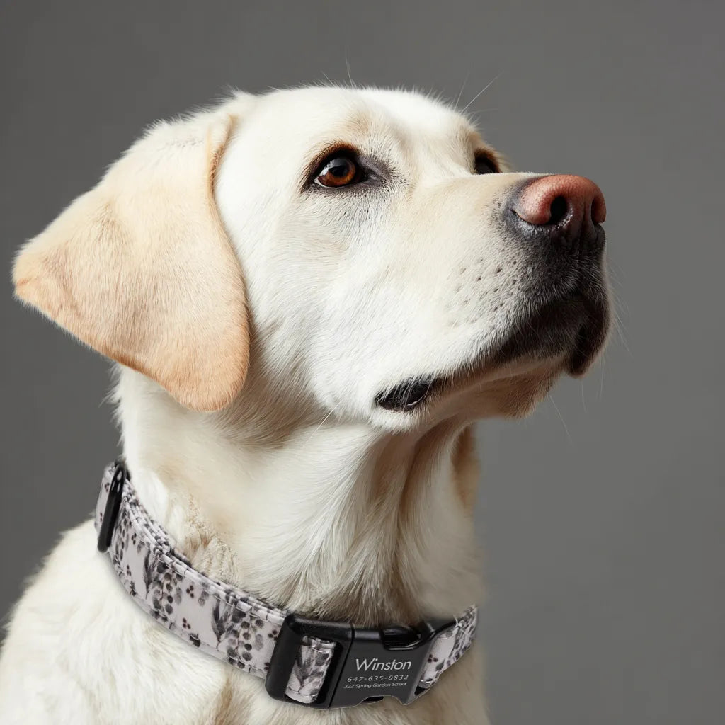 Dog wears 100% Cotton Personalized Dog Collar Engraved Black Eucalyptus