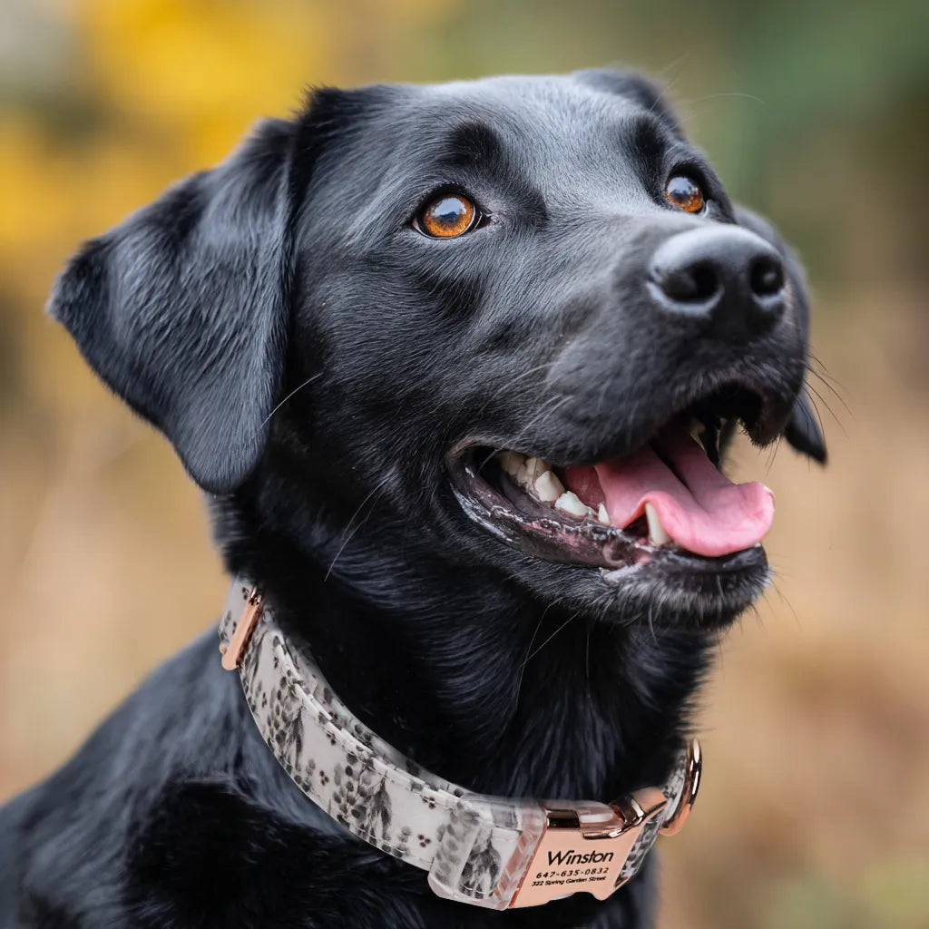 Dog wears 100% Cotton Personalized Dog Collar Engraved Rose Gold Eucalyptus