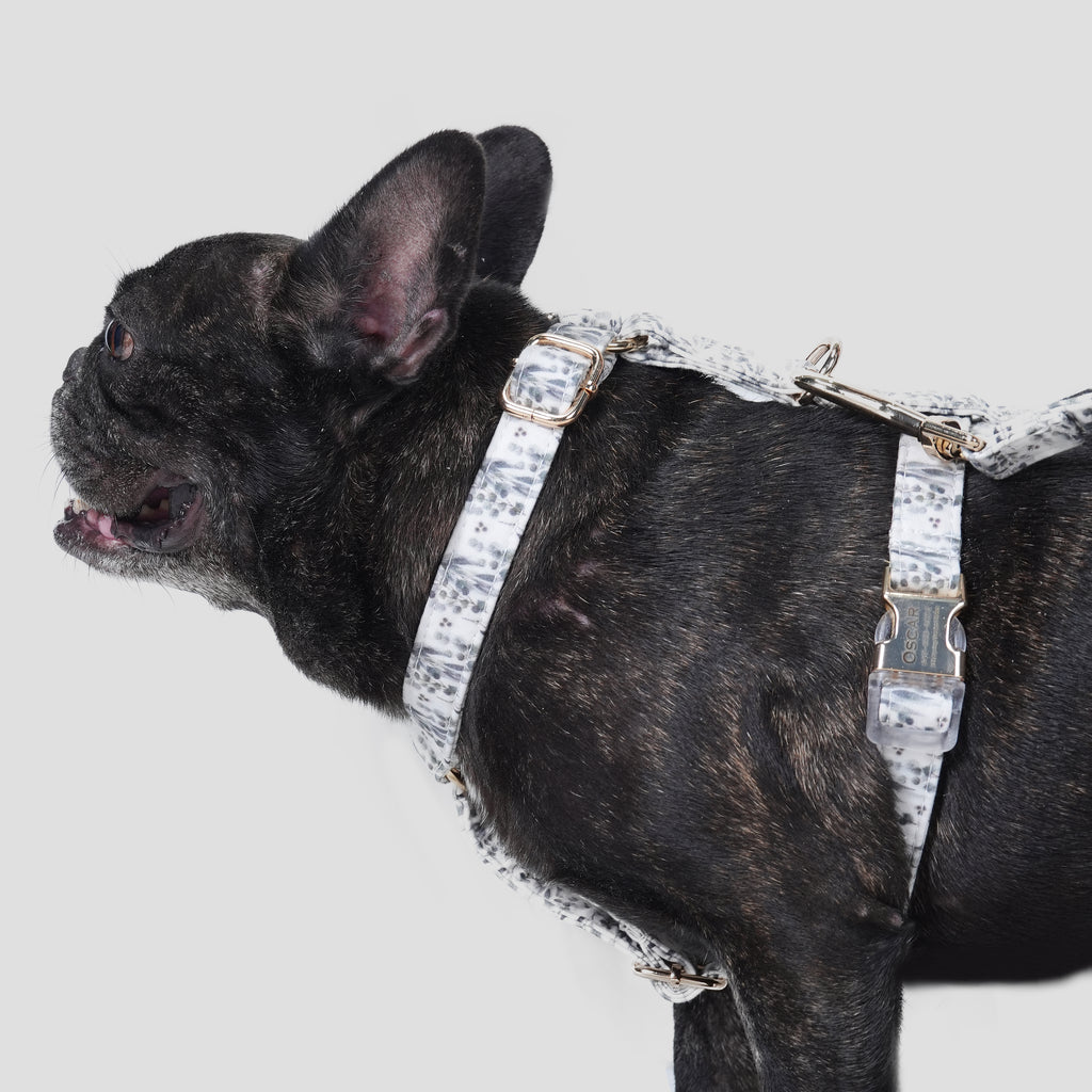 100% Cotton Adjustable No Pull Dog Harness Eucalyptus dog wears the harness side