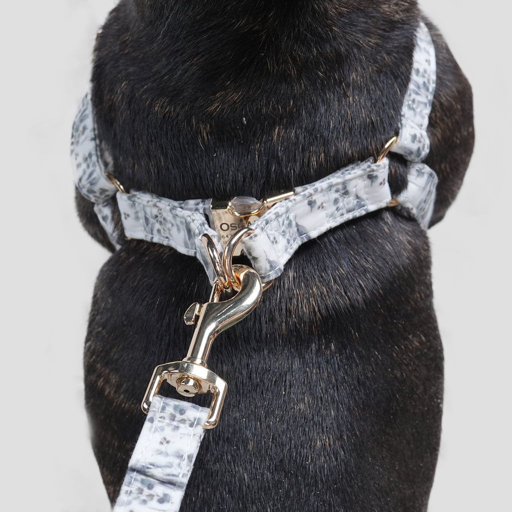 100% Cotton Adjustable Step-In Dog Harness Gold Eucalyptus dog wears the harness back