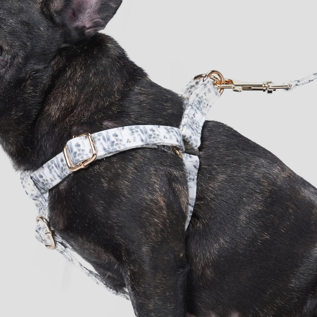 100% Cotton Adjustable Step-In Dog Harness Gold Eucalyptus dog wears the harness side