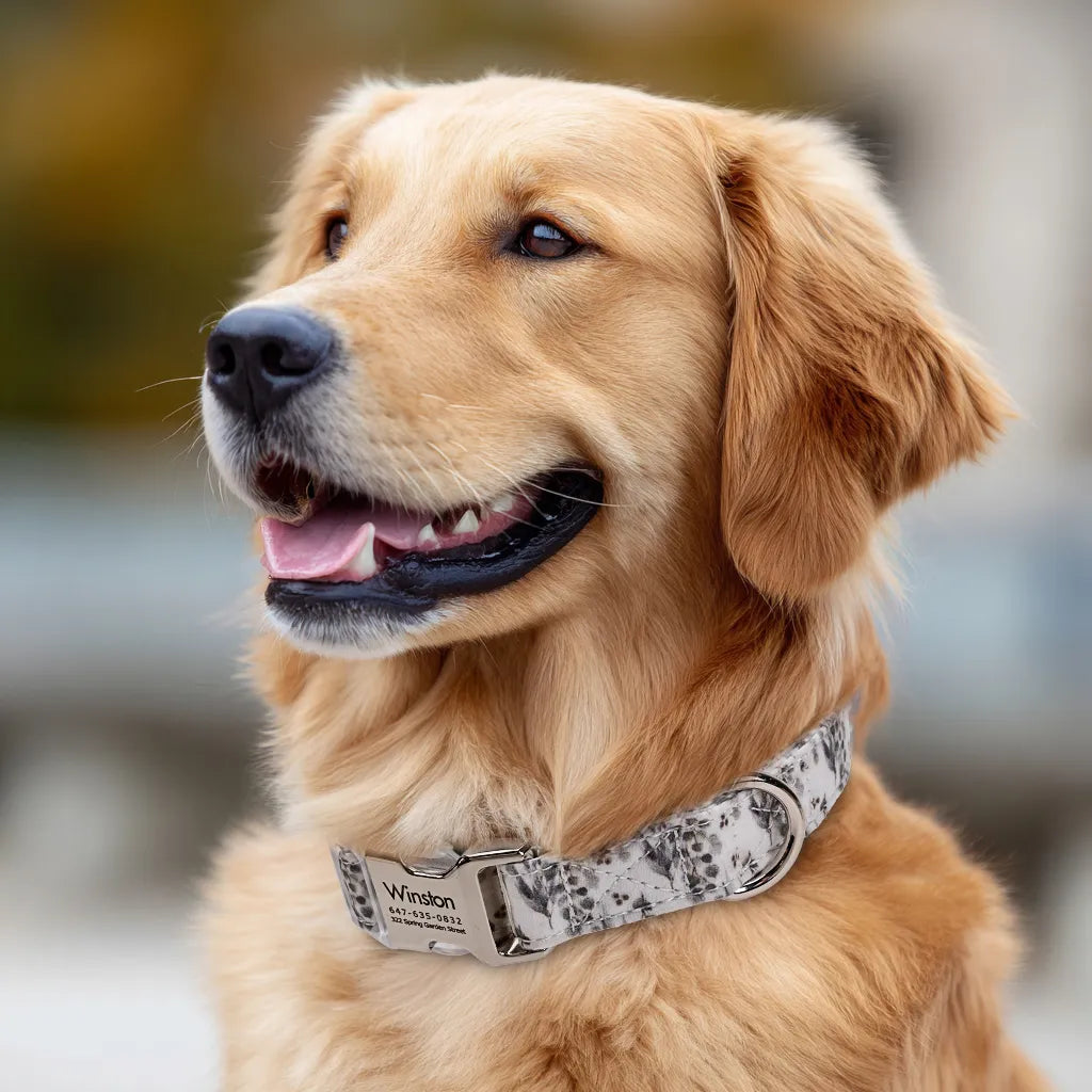 Dog wears 100% Cotton Personalized Dog Collar Engraved Silver Eucalyptus