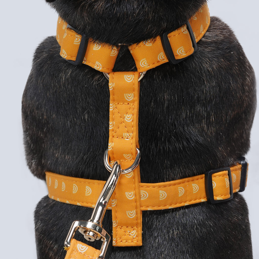 100% Cotton Adjustable No Pull Dog Harness Hobo Rainbow dog wears the harness back