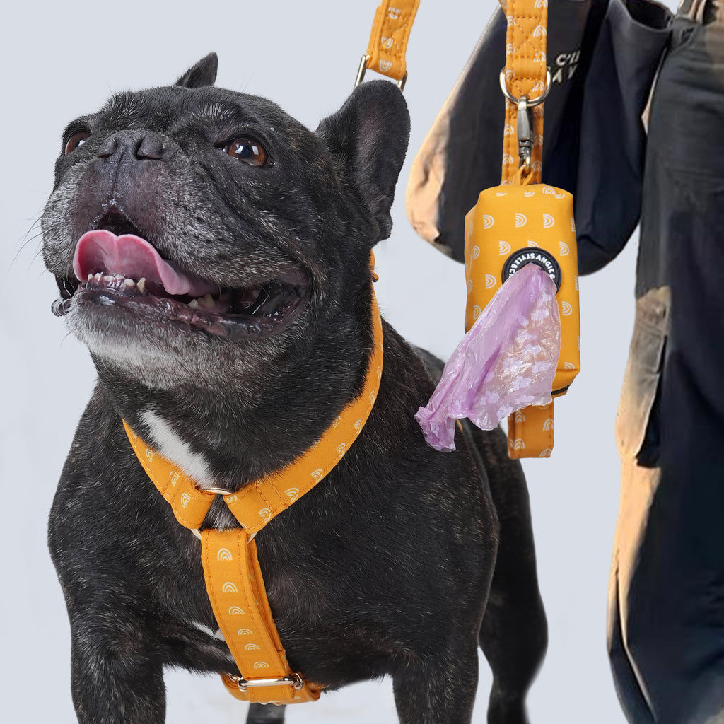 Dog wearing an Hobo Rainbow harness with a visible brand logo on a light gray background