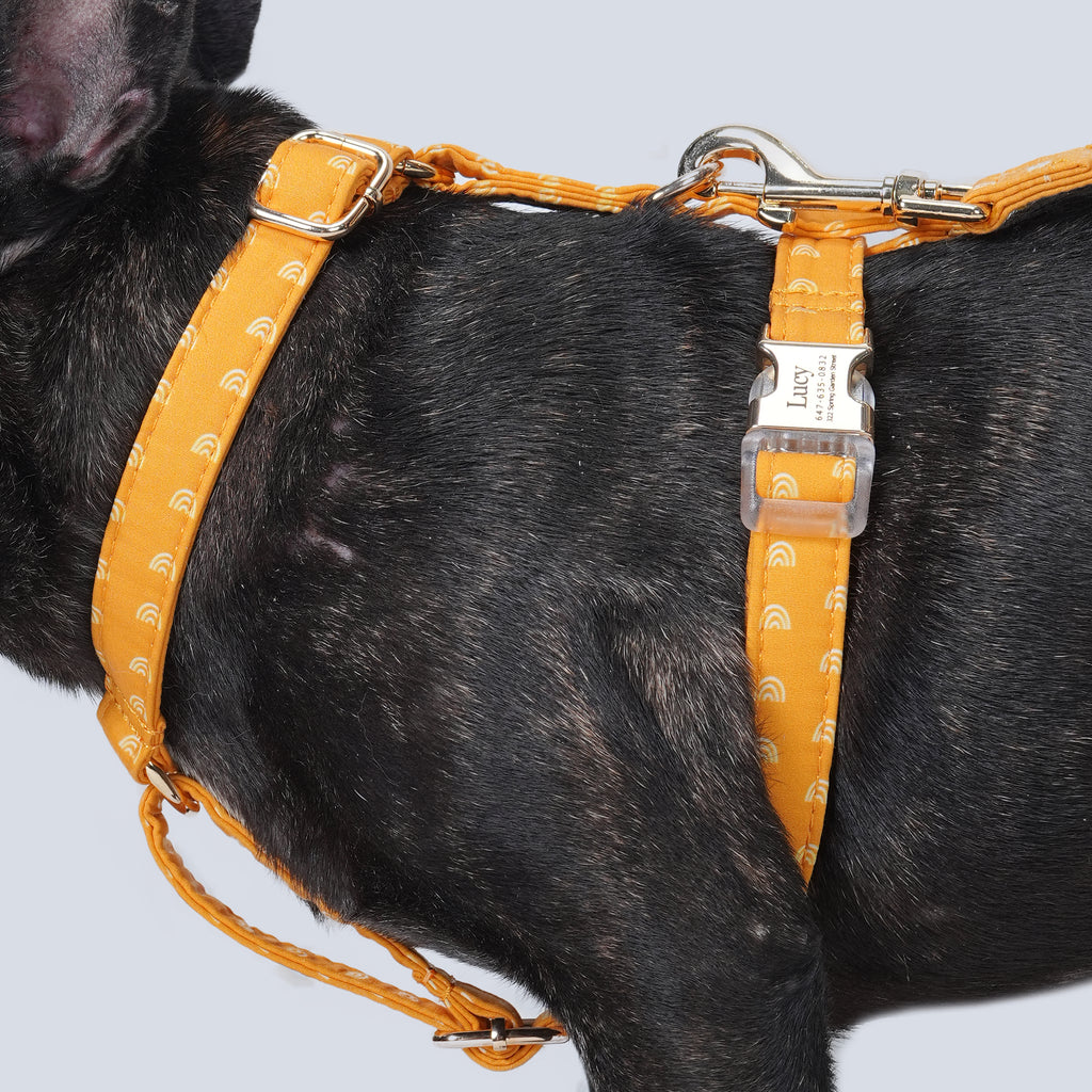 100% Cotton Adjustable No Pull Dog Harness Hobo Rainbow dog wears the harness side