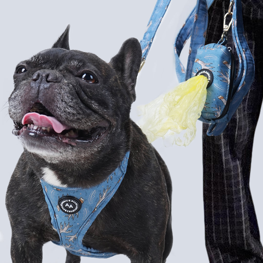 Dog wearing a Lumber Jack patterned harness with a person holding a poop bag on a light gray background