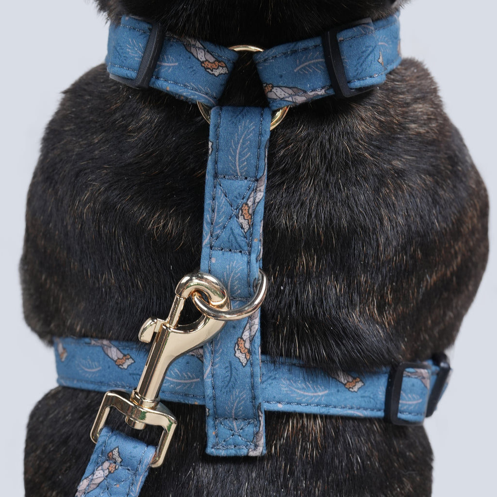 100% Cotton Adjustable No Pull Dog Harness Lumber Jack dog wears the harness back