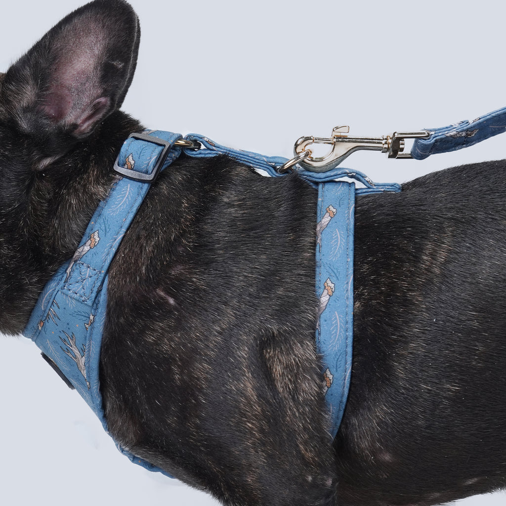 100% Cotton Adjustable No Pull Dog Harness Lumber Jack dog wears the harness side