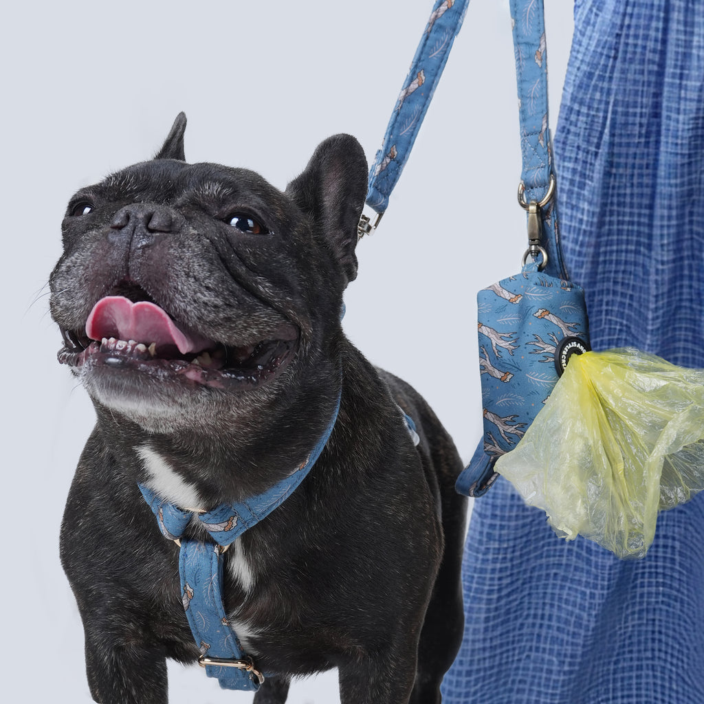 Dog wearing a Lumber Jack patterned harness with a person holding a poop bag on a light gray background
