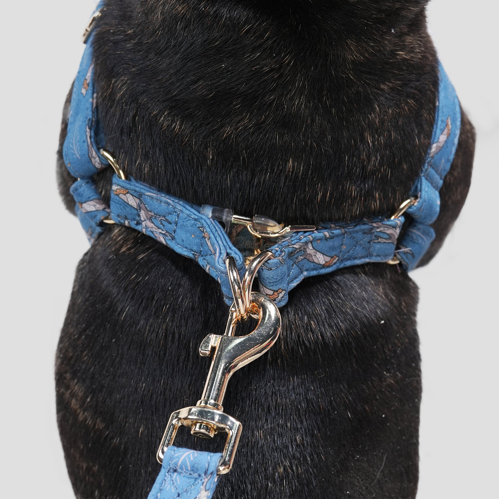 100% Cotton Adjustable Step-In Dog Harness Gold Lumber Jack dog wears the harness back