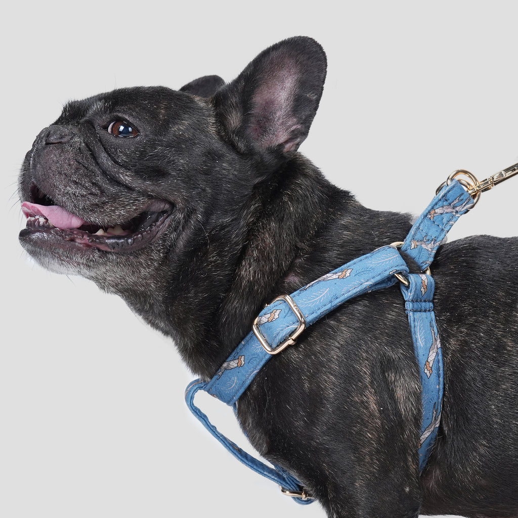 100% Cotton Adjustable Step-In Dog Harness Gold Lumber Jack dog wears the harness side