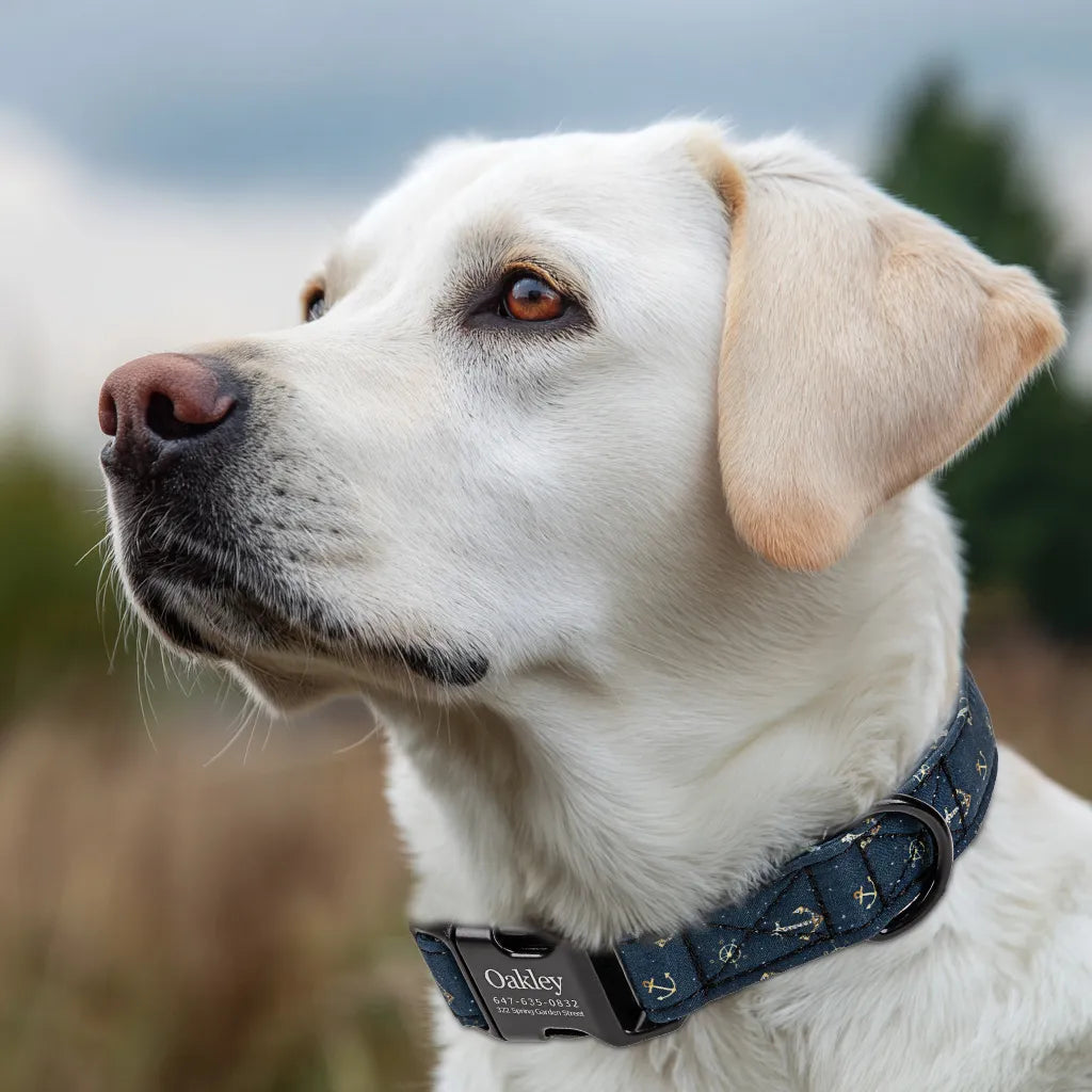 Dog wears  100% Cotton Personalized Dog Collar Engraved Black Nautical