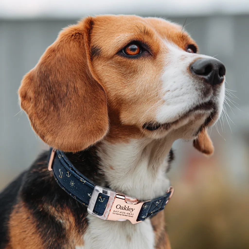 Dog wears  100% Cotton Personalized Dog Collar Engraved Rose Gold Nautical