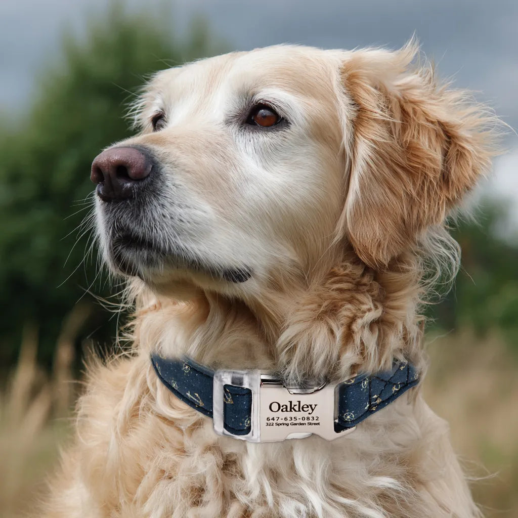 Dog wears  100% Cotton Personalized Dog Collar Engraved Silver Nautical