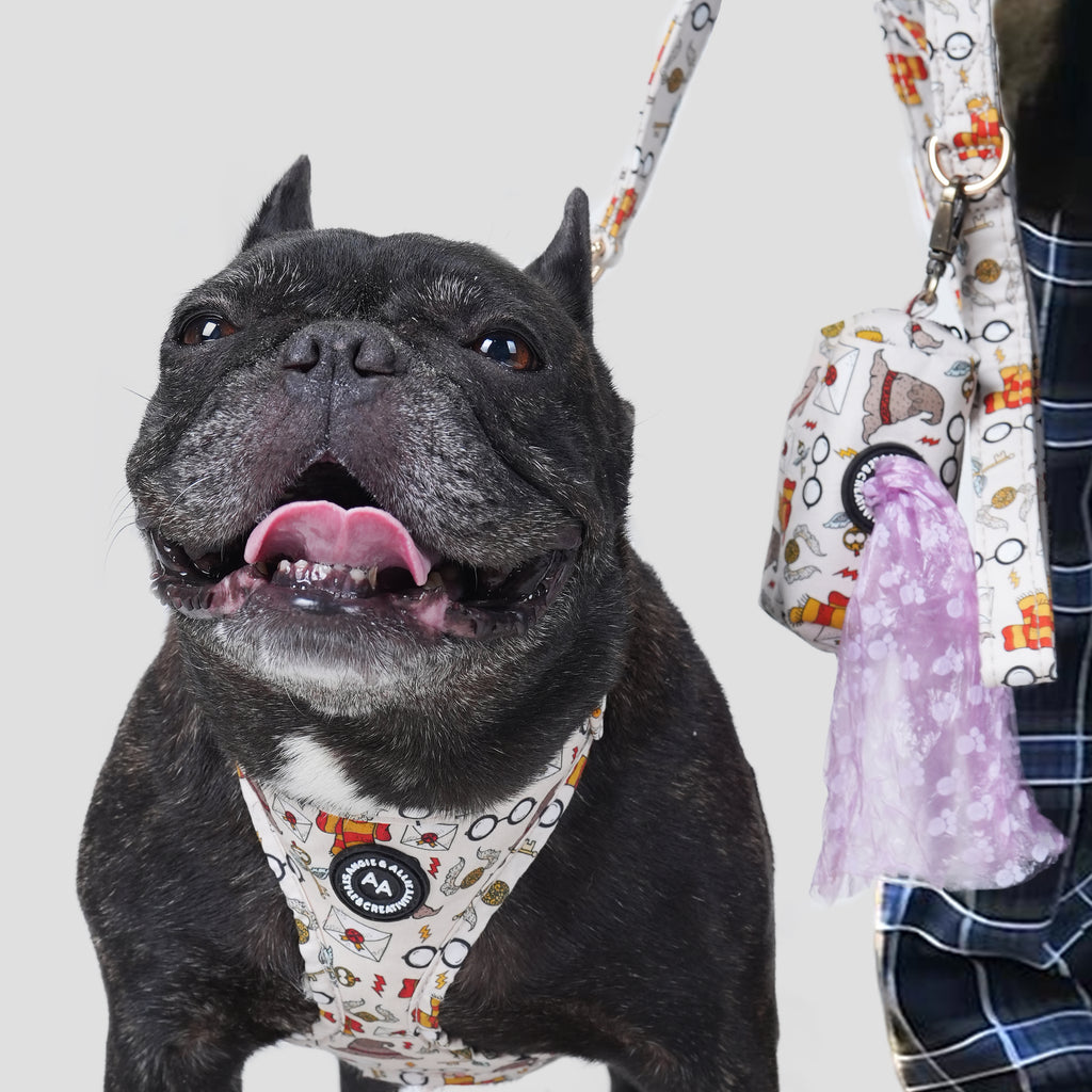 Dog wearing a Wizard School patterned harness and leash with a poop bag on a white background