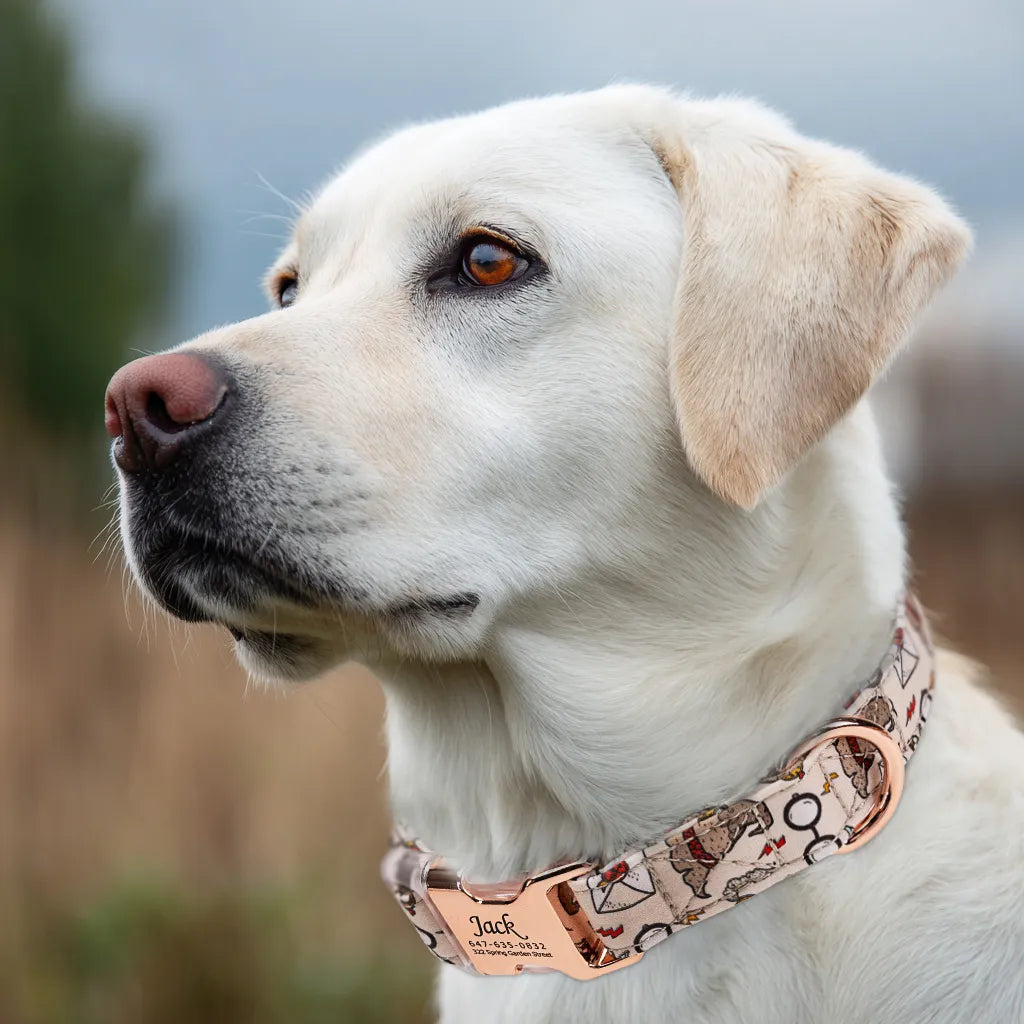 Dog wears 100% Cotton Personalized Dog Collar Engraved Rose Gold Wizard School