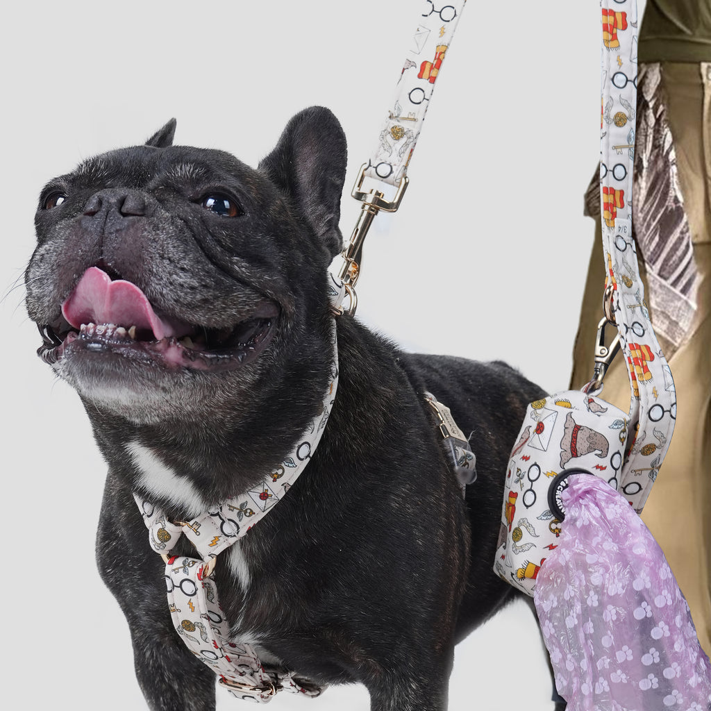 Dog wearing a Wizard School patterned harness and leash with a poop bag on a white background