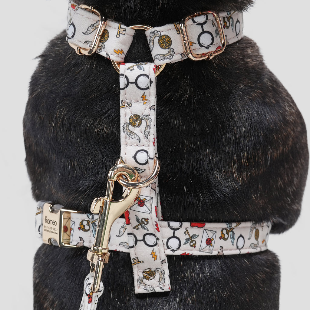 100% Cotton Adjustable No Pull Dog Harness Wizard School dog wears the harness back