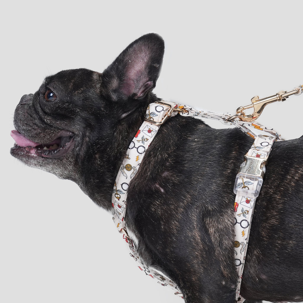 100% Cotton Adjustable No Pull Dog Harness Wizard School dog wears the harness side