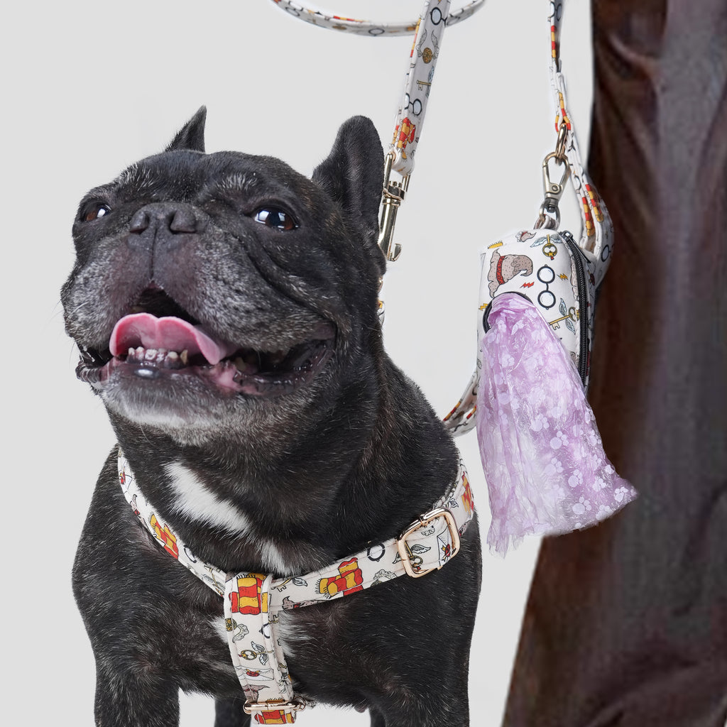 Dog wearing a Wizard School patterned harness and leash with a poop bag on a white background