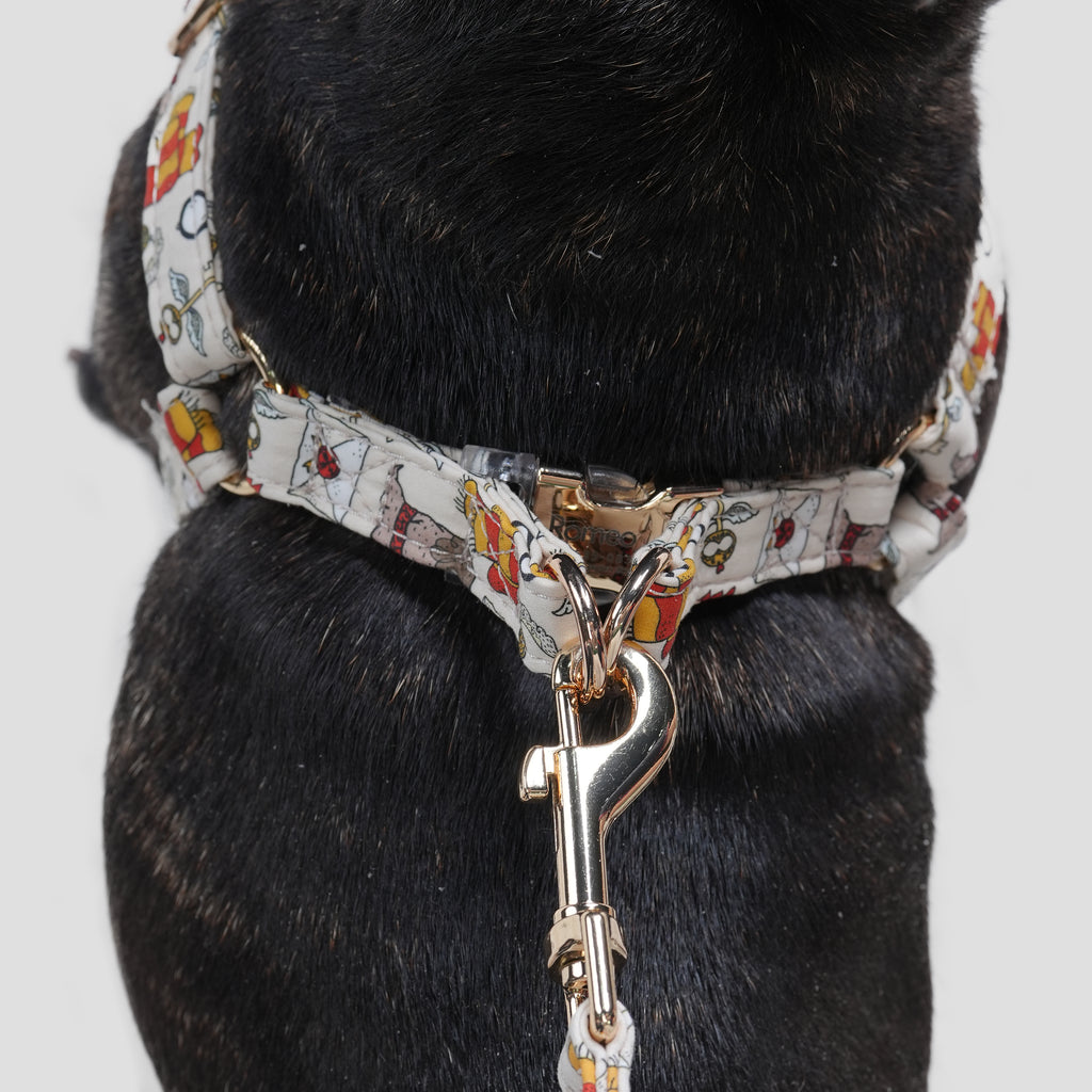 100% Cotton Adjustable Step-In Dog Harness Gold Wizard School dog wears the harness back