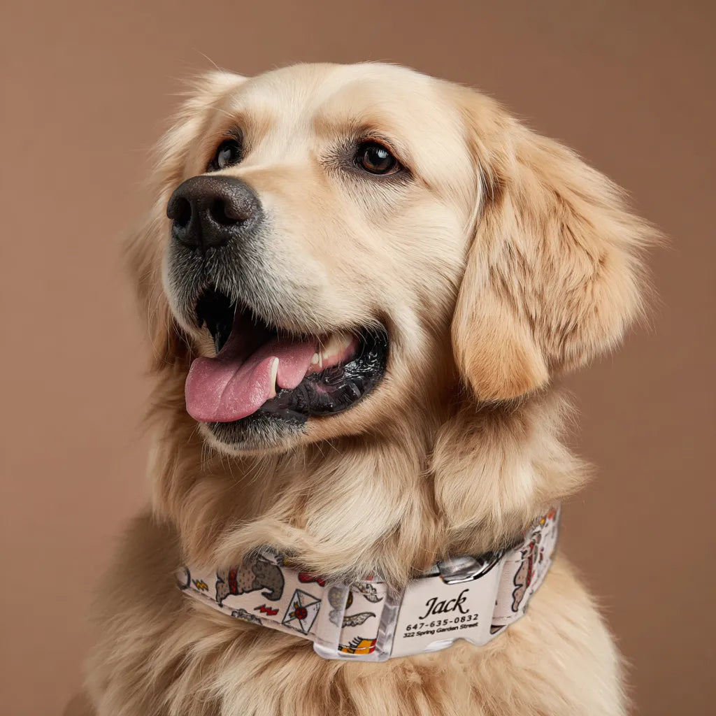 Dog wears 100% Cotton Personalized Dog Collar Engraved Silver Wizard School