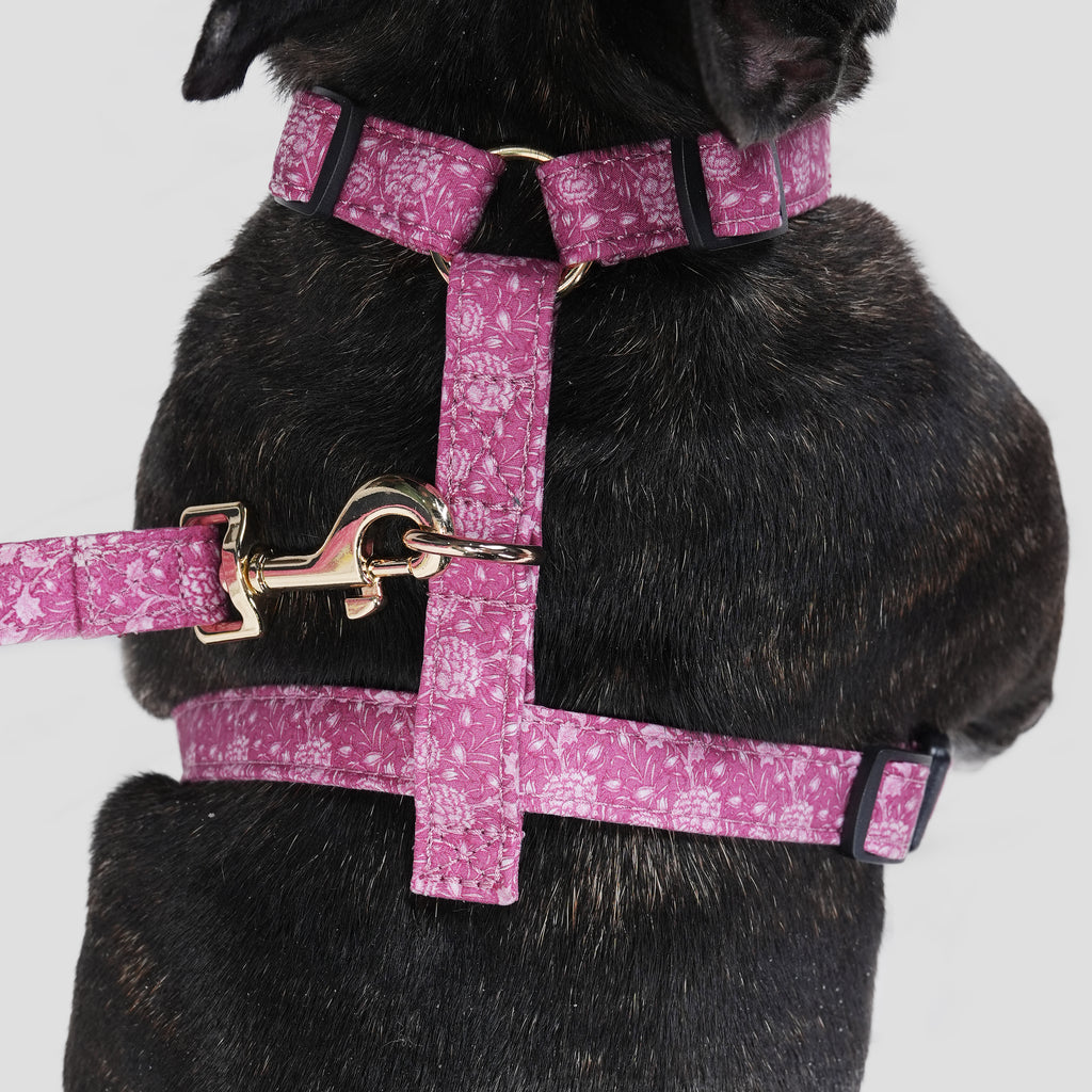 100% Cotton William Morris Dog Harness Wild Tulip dog wears the harness back