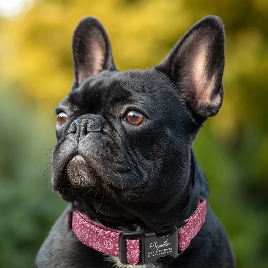 Dog wears 100% Cotton Personalized Dog Collar Engraved Black Wild Tulip
