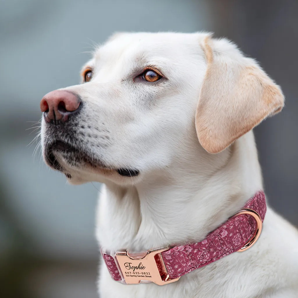 Dog wears 100% Cotton Personalized Dog Collar Engraved Rose Gold Wild Tulip