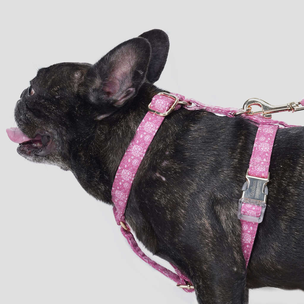 100% Cotton Adjustable No Pull Dog Harness Wild Tulip dog wears the harness side
