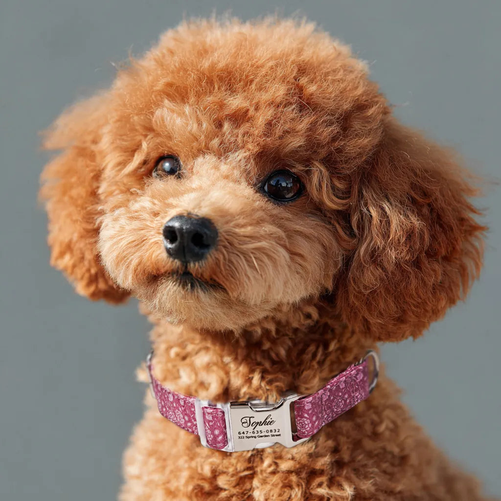 Dog wears 100% Cotton Personalized Dog Collar Engraved Silver Wild Tulip