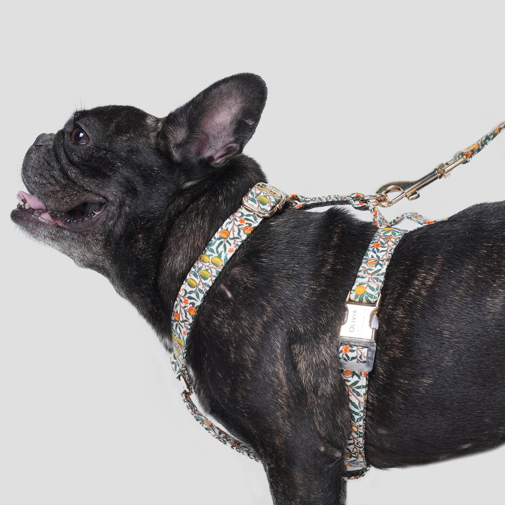 100% Cotton Adjustable No Pull Dog Harness Pomegranate dog wears the harness side