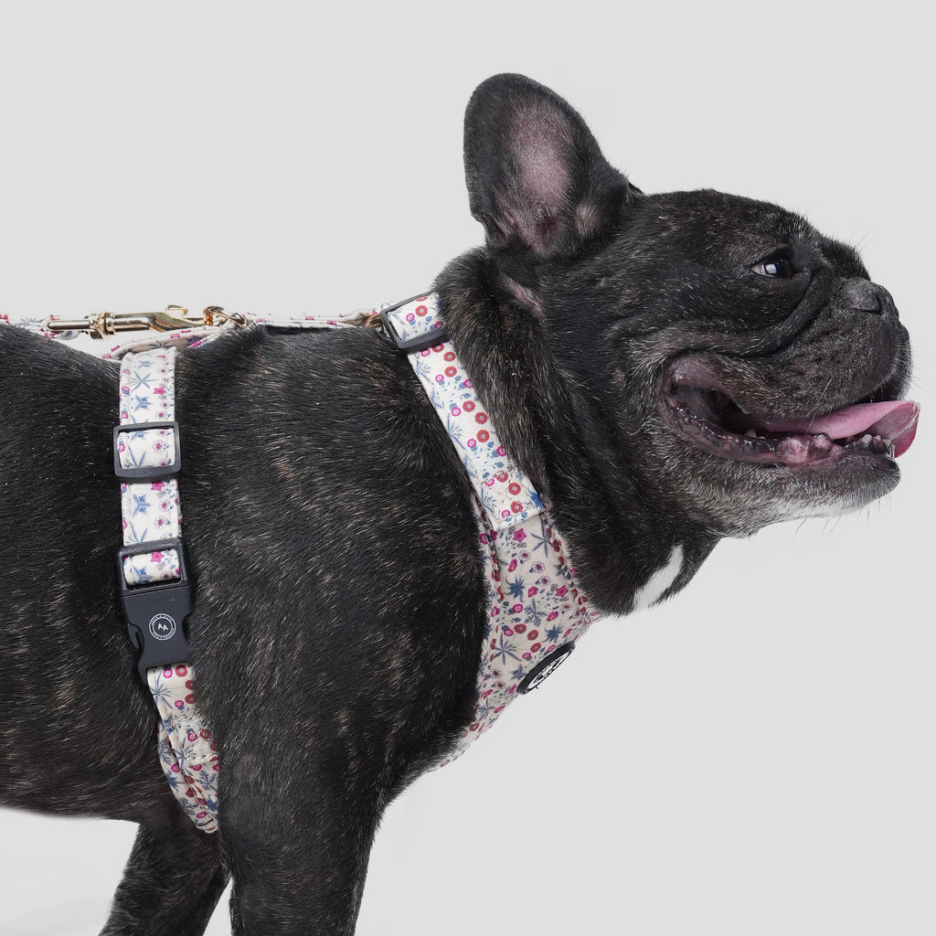 100% Cotton William Morris Dog Harness Daisy dog wears the harness side
