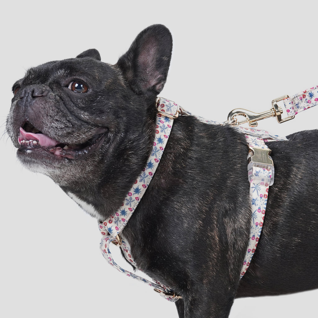 100% Cotton Adjustable No Pull Dog Harness Daisy dog wears the harness side