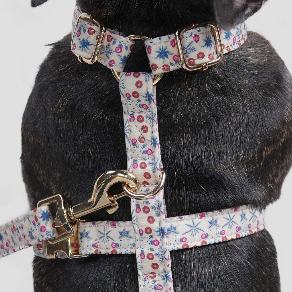 100% Cotton Adjustable No Pull Dog Harness Daisy dog wears the harness back