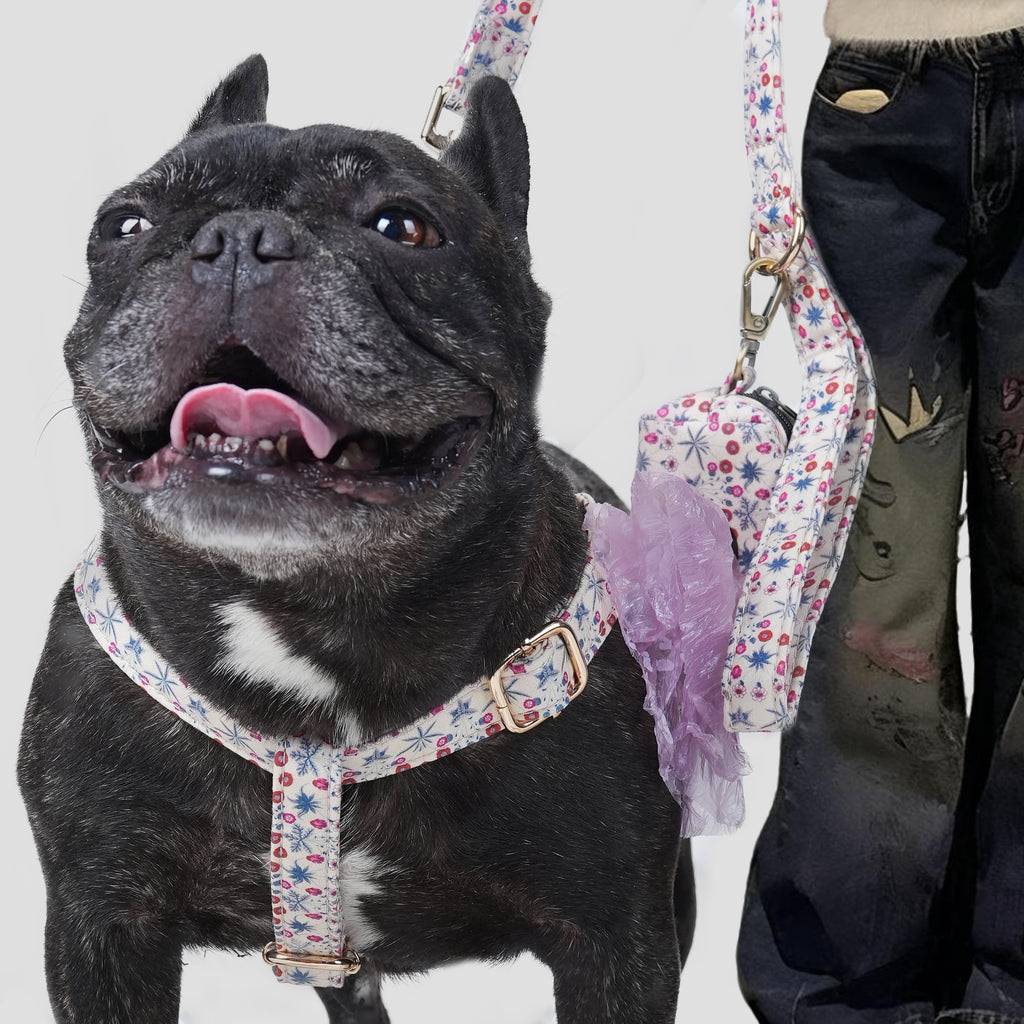 Dog wearing a daisy patterned harness with a leash and a poop bag on a plain background