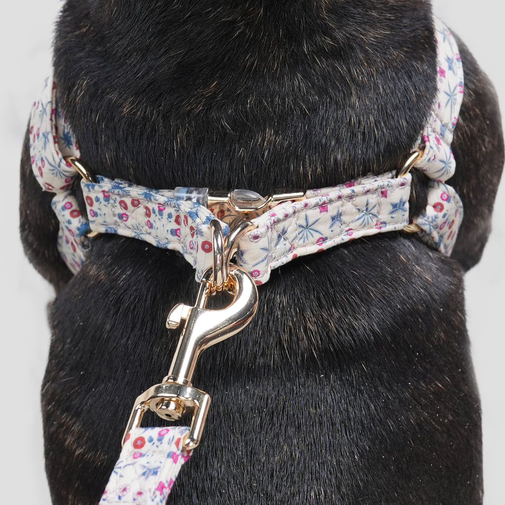 100% Cotton Adjustable Step-In Dog Harness Gold Daisy dog wears the harness back