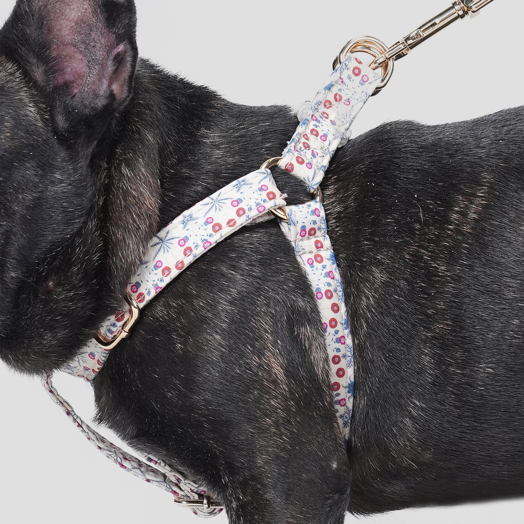 100% Cotton Adjustable Step-In Dog Harness Gold Daisy dog wears the harness side