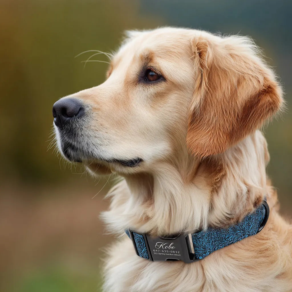 Dog wears 100% Cotton Personalized Dog Collar  Marigold black buckle