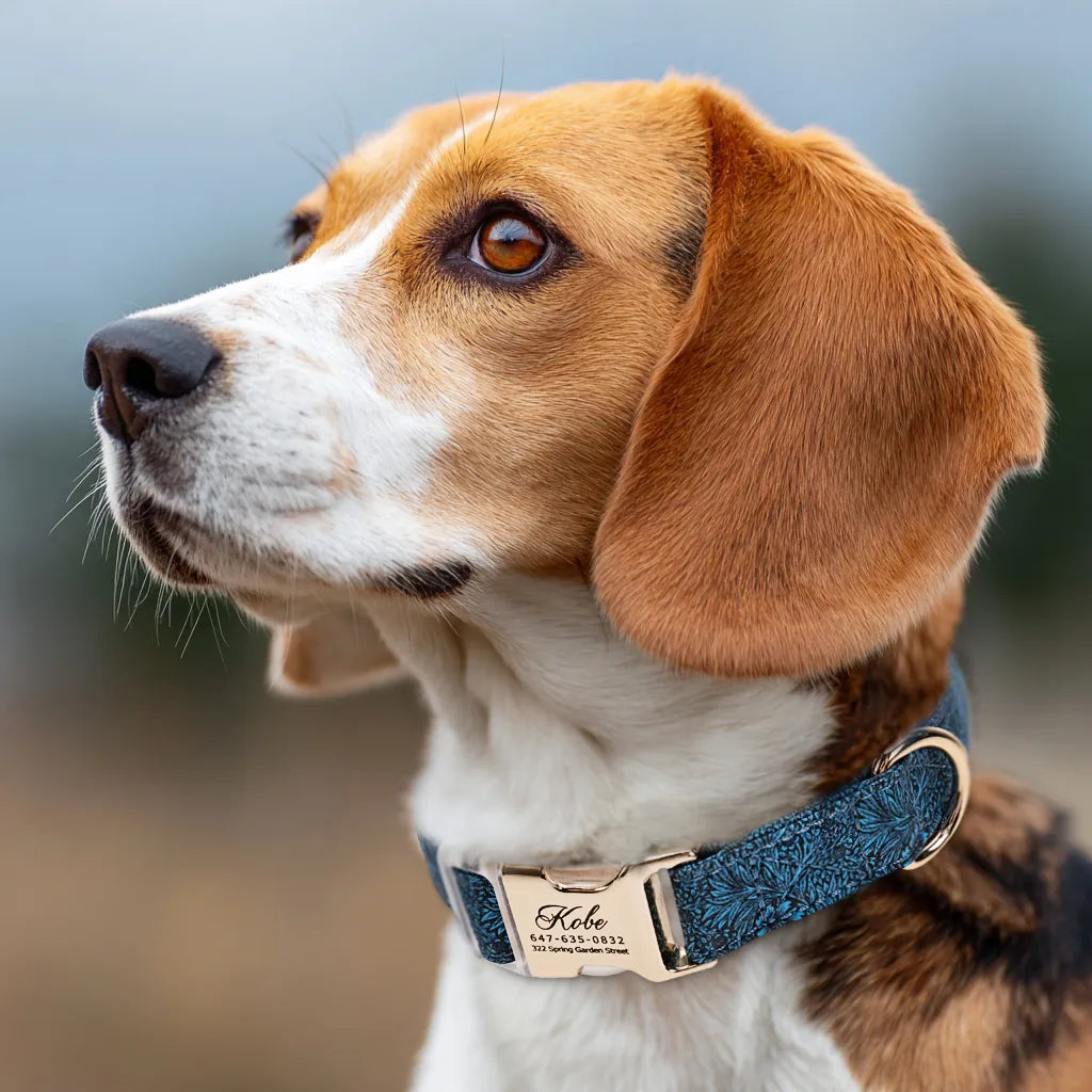 Dog wears 100% Cotton Personalized Dog Collar  Marigold